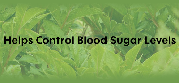 helps-control-blood-sugar-levels-image